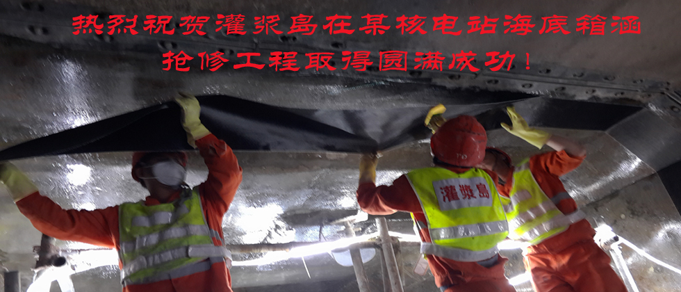 某核电站海底箱涵破损部位抢修案例
